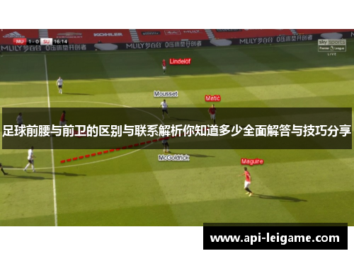 足球前腰与前卫的区别与联系解析你知道多少全面解答与技巧分享
